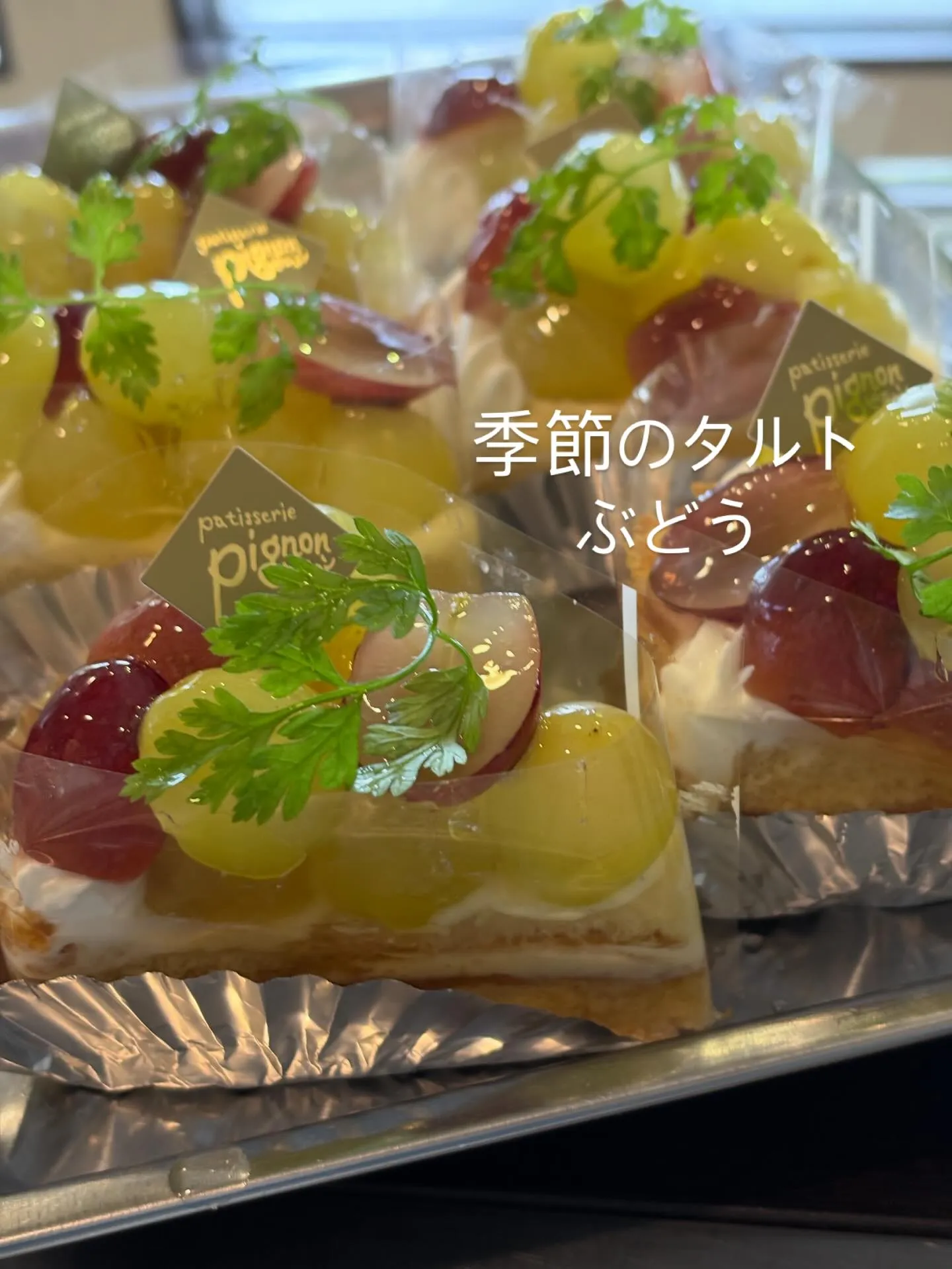 🦜ピニョンです🦜