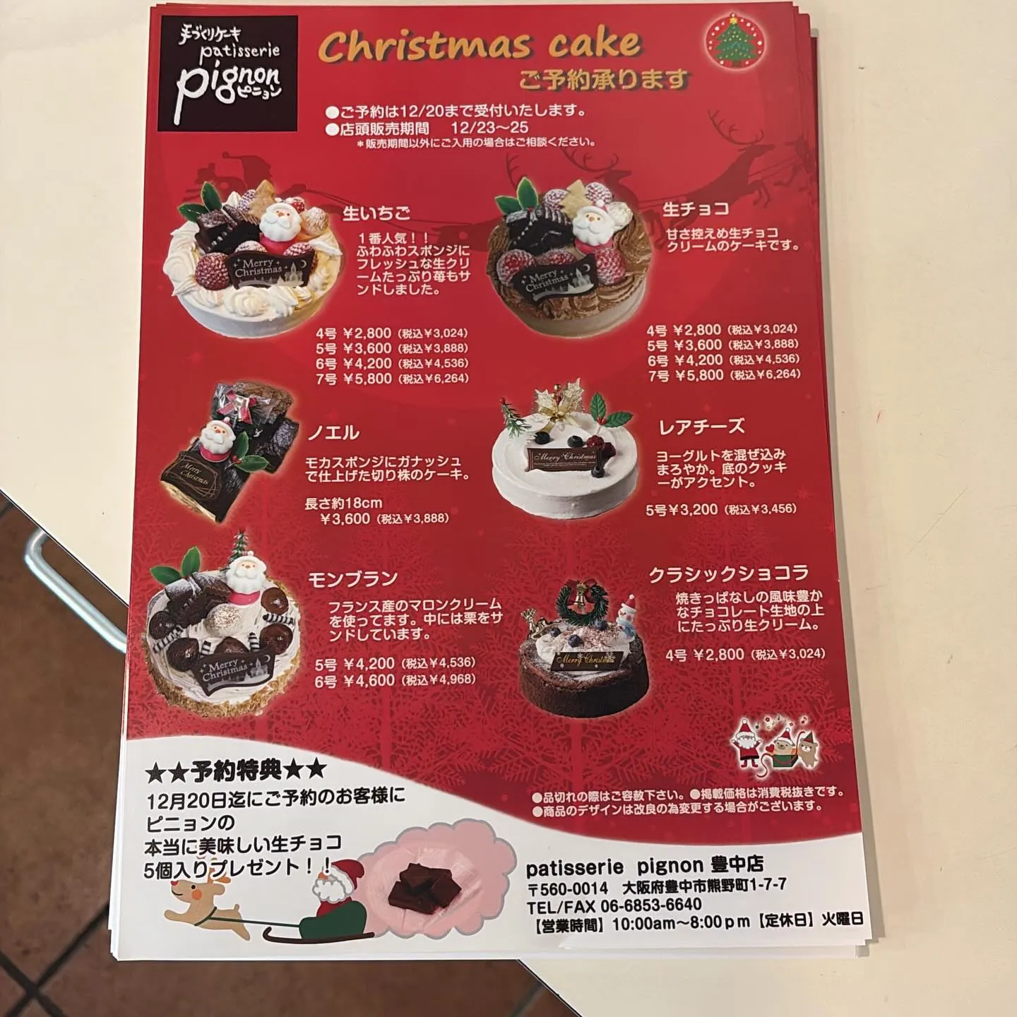 🦜ピニョンです🦜